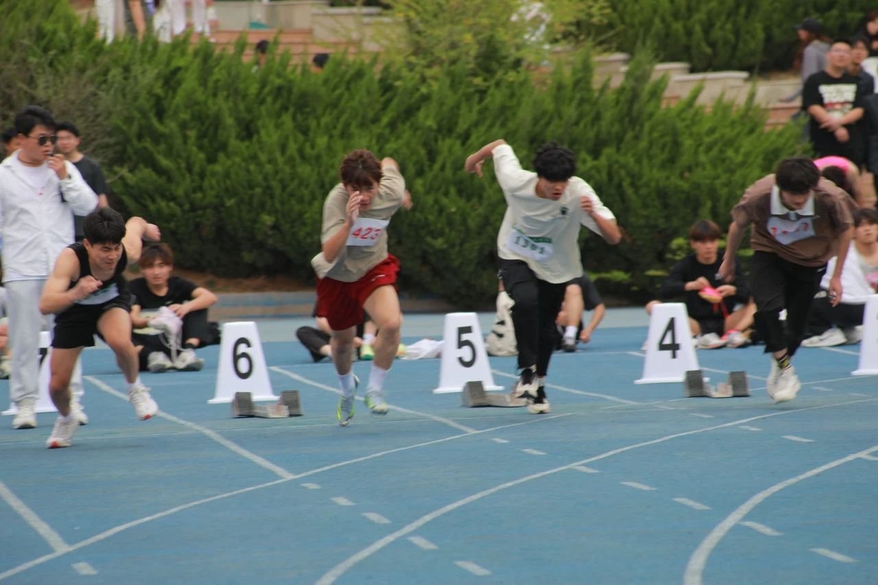 图示, 示意图

中度可信度描述已自动生成:ver1